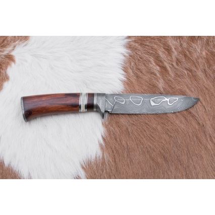 Damascus hunting knife 13,8 cm ironwood/buffalo bone
