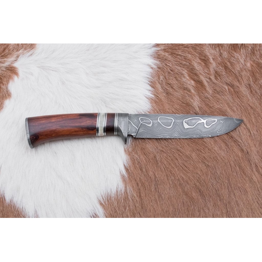 Damascus hunting knife 13,8 cm ironwood/buffalo bone