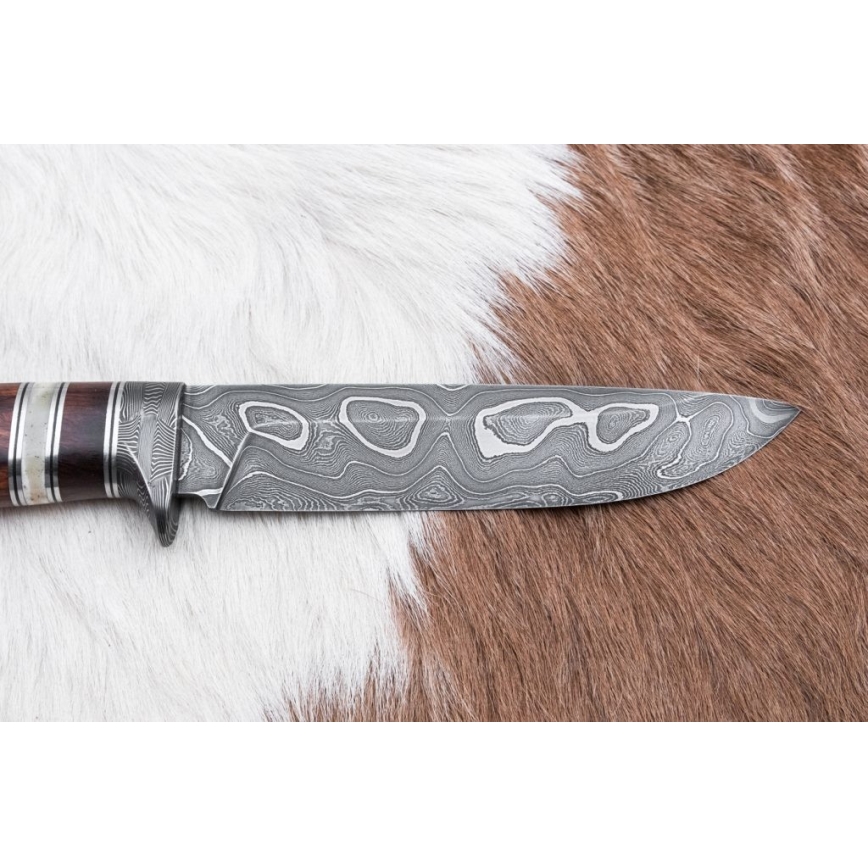 Damascus hunting knife 13,8 cm ironwood/buffalo bone