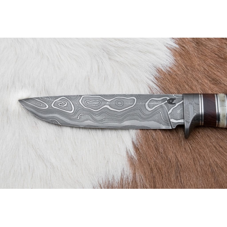 Damascus hunting knife 13,8 cm ironwood/buffalo bone