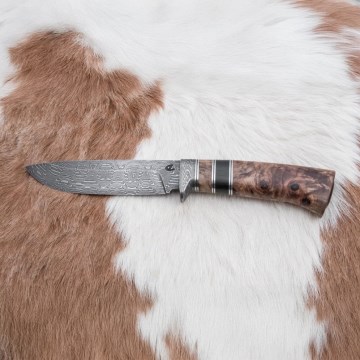 Damascus hunting knife 13 cm poplar/ebony