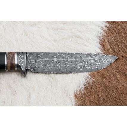 Damascus hunting knife 13 cm poplar/ebony