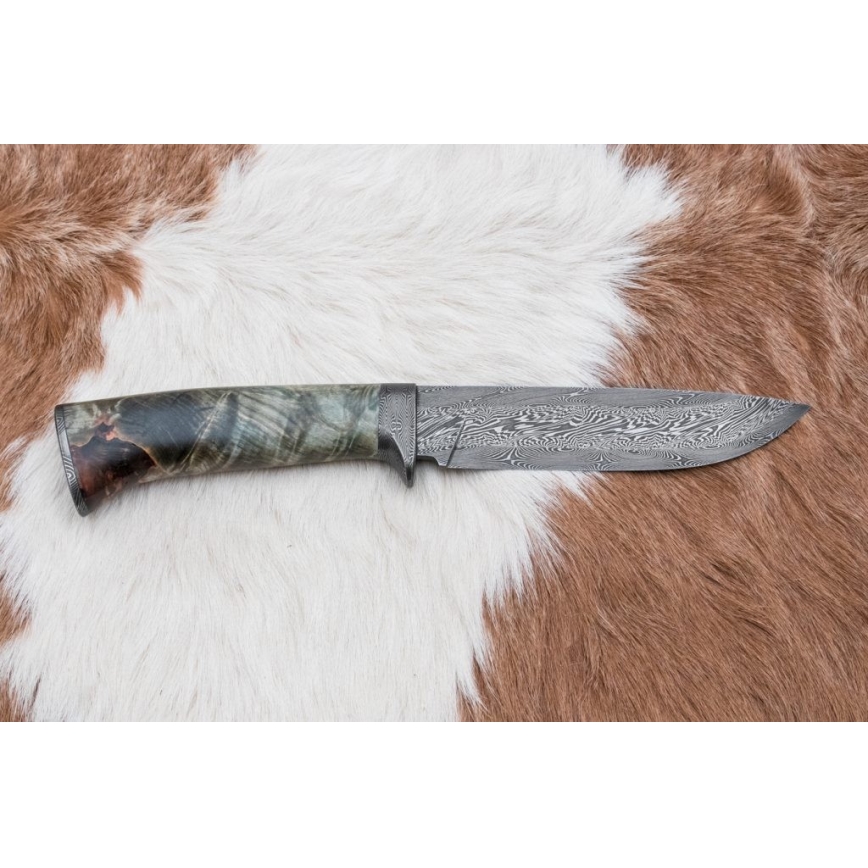 Damascus hunting knife 14 cm chestnut tree