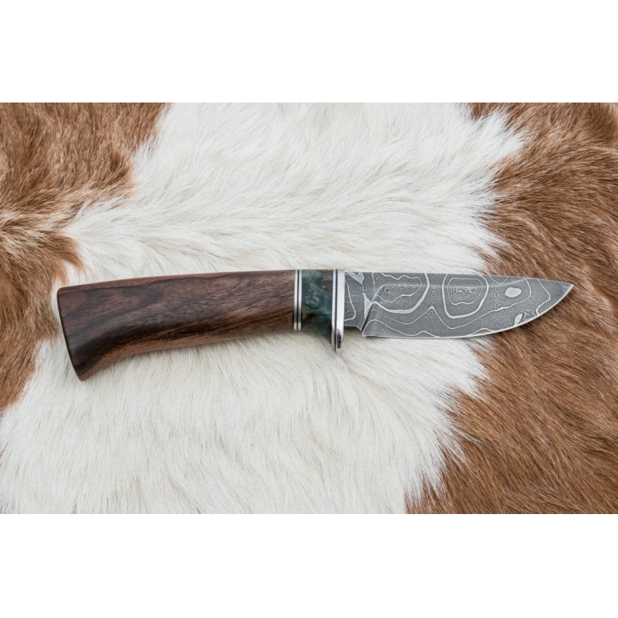 Damascus hunting knife 9,7 cm walnut/maple