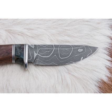 Damascus hunting knife 9,7 cm walnut/maple
