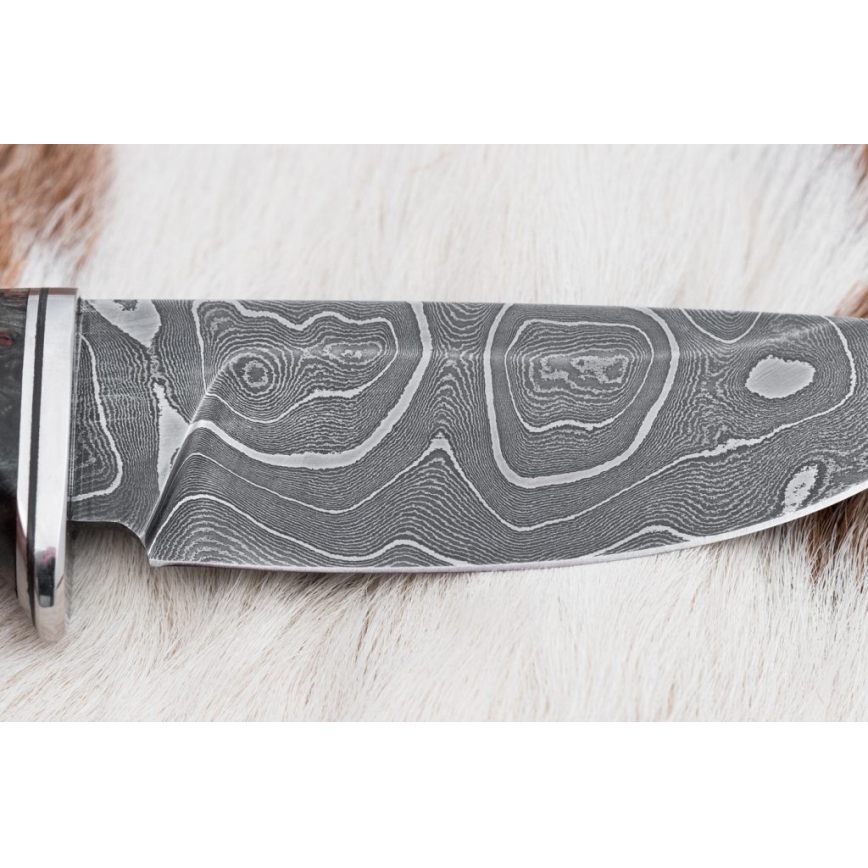 Damascus hunting knife 9,7 cm walnut/maple