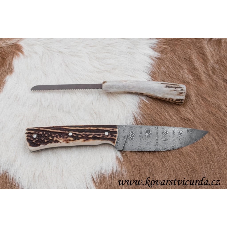 Damascus hunting knife with mini saw 11 cm deer antler