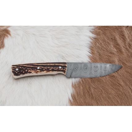 Damascus hunting knife with mini saw 11 cm deer antler