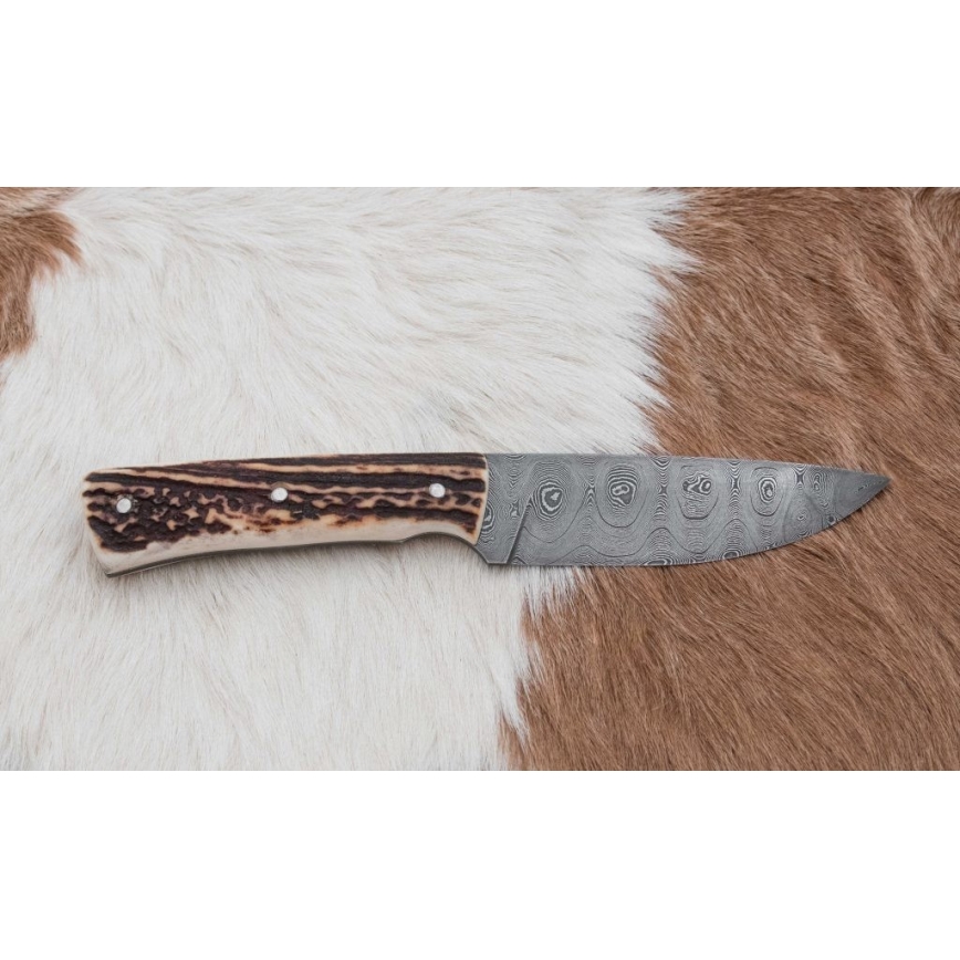 Damascus hunting knife with mini saw 11 cm deer antler