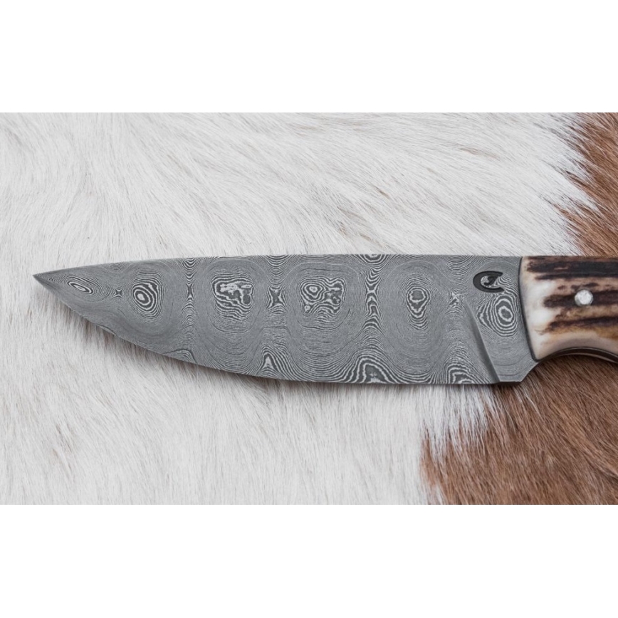 Damascus hunting knife with mini saw 11 cm deer antler