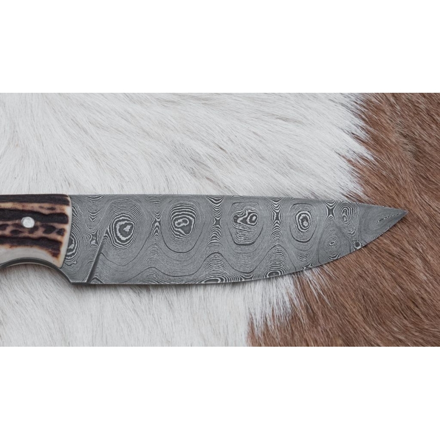 Damascus hunting knife with mini saw 11 cm deer antler