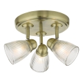 Där Lighting CED7675 - Bathroom spotlight CEDRIC 3xG9/25W/230V IP44 brass