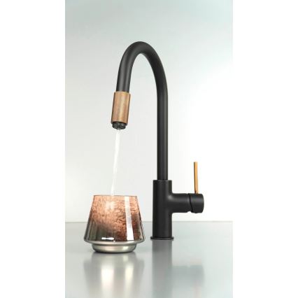 Deante BCA_B64M - ASTER kitchen sink faucet, black/brass