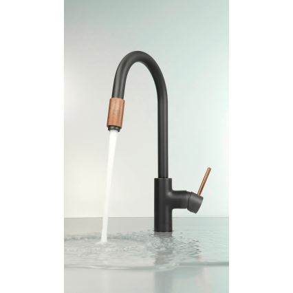 Deante BCA_B64M - ASTER kitchen sink faucet, black/brass