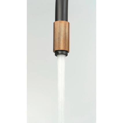 Deante BCA_B64M - ASTER kitchen sink faucet, black/brass