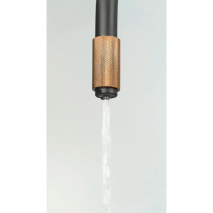 Deante BCA_B64M - ASTER kitchen sink faucet, black/brass