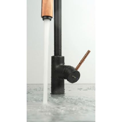 Deante BCA_B64M - ASTER kitchen sink faucet, black/brass