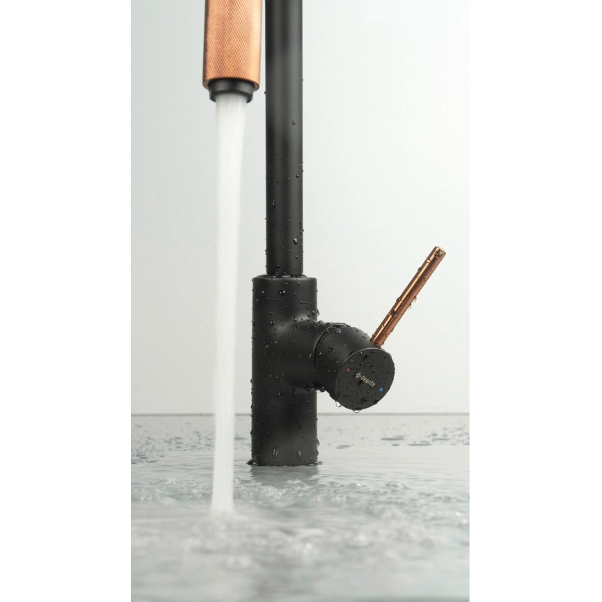 Deante BCA_B64M - ASTER kitchen sink faucet, black/brass