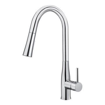 Deante BDH_072M - Sink tap with pull-out sprayer LUKRECJA shiny chrome