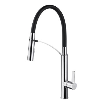 Deante BGB_B720 - Sink tap with flexible arm GERBERA black/chrome