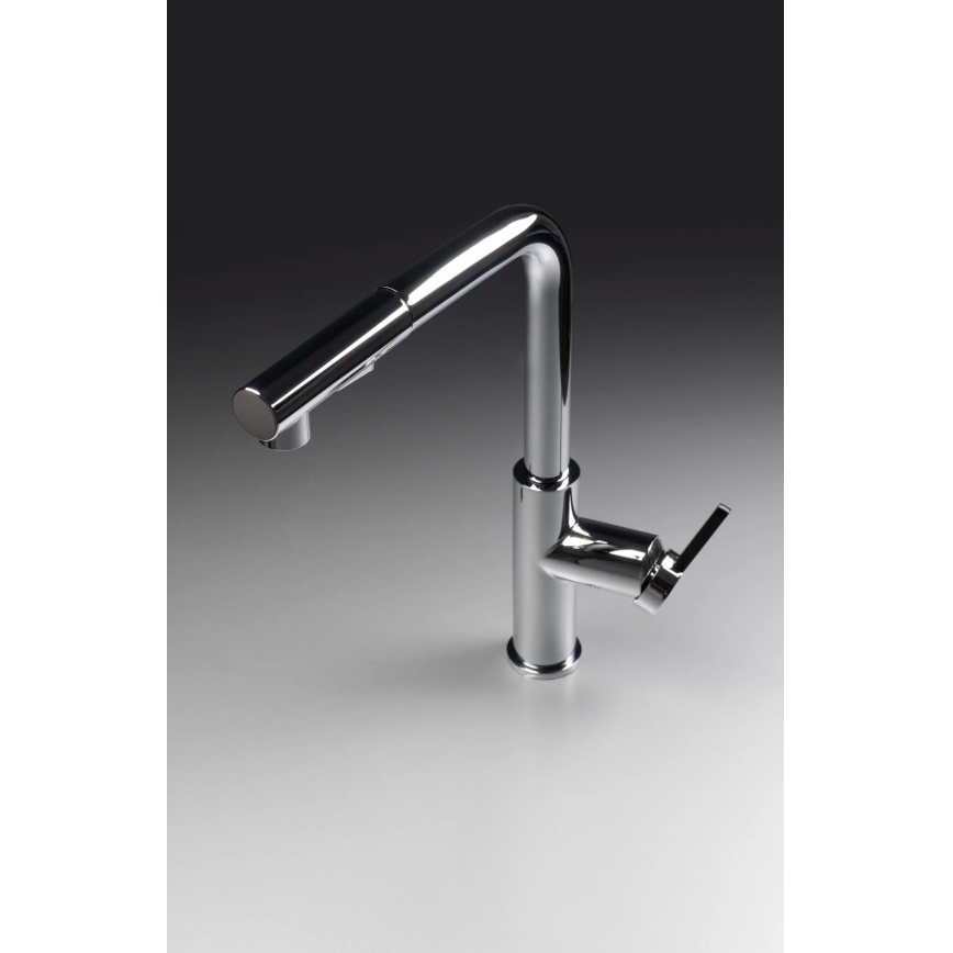 Deante BKM_073M - Sink tap with pull-out sprayer MOMI shiny chrome