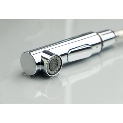 Deante BKM_073M - Sink tap with pull-out sprayer MOMI shiny chrome