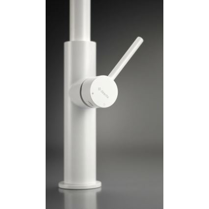 Deante BQJ_A62M - EVORA kitchen sink mixer, white