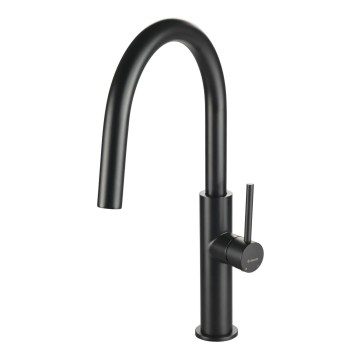 Deante BQJ_N62M - EVORA Black Kitchen Sink Faucet