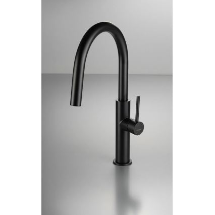 Deante BQJ_N62M - EVORA Black Kitchen Sink Faucet
