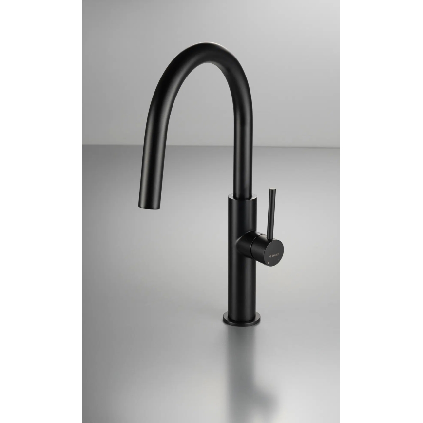 Deante BQJ_N62M - EVORA Black Kitchen Sink Faucet
