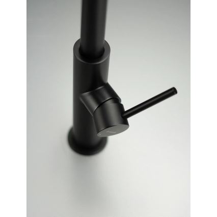 Deante BQJ_N62M - EVORA Black Kitchen Sink Faucet