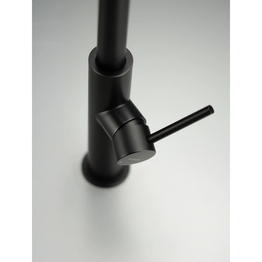 Deante BQJ_N62M - EVORA Black Kitchen Sink Faucet