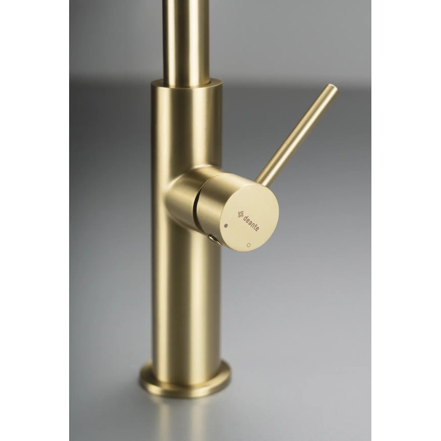 Deante BQJ_R62M - EVORA Brushed Gold Kitchen Faucet