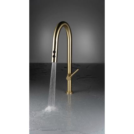 Deante BQO_R72M - Sink tap with pull-out sprayer OLFATO brushed gold