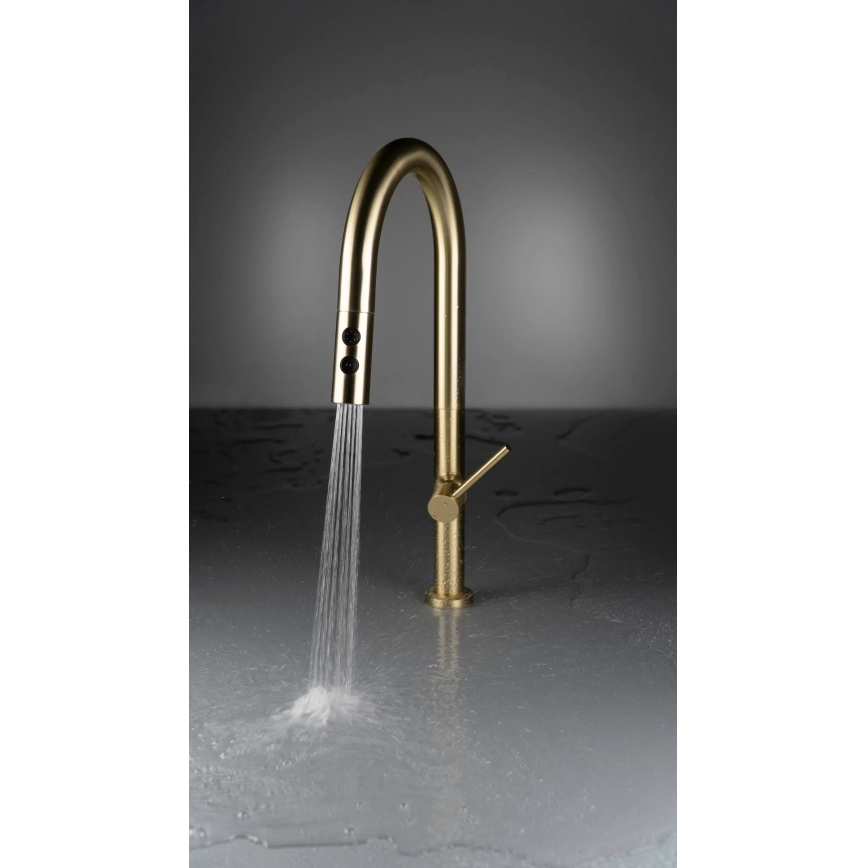 Deante BQO_R72M - Sink tap with pull-out sprayer OLFATO brushed gold