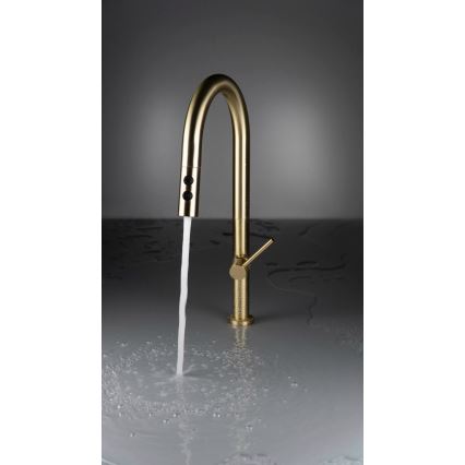 Deante BQO_R72M - Sink tap with pull-out sprayer OLFATO brushed gold