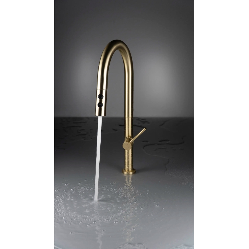 Deante BQO_R72M - Sink tap with pull-out sprayer OLFATO brushed gold