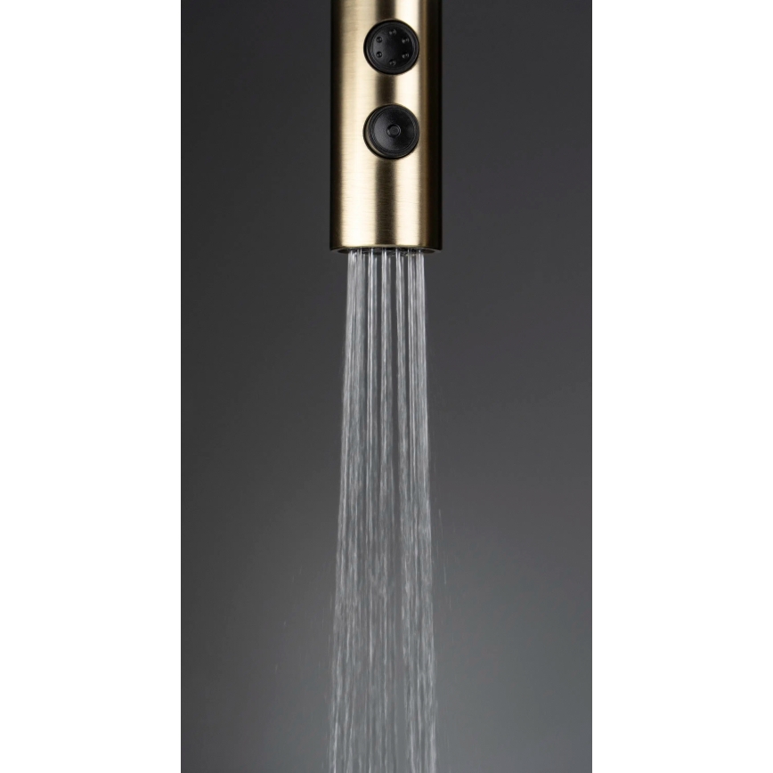 Deante BQO_R72M - Sink tap with pull-out sprayer OLFATO brushed gold