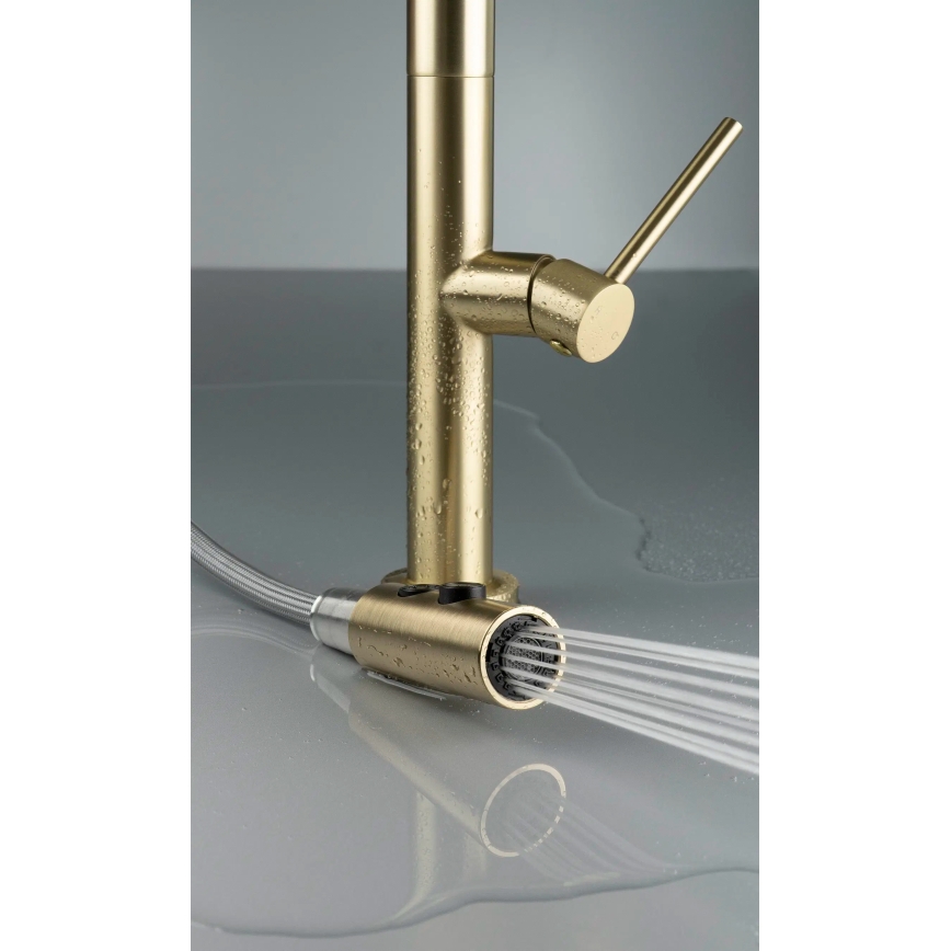 Deante BQO_R72M - Sink tap with pull-out sprayer OLFATO brushed gold