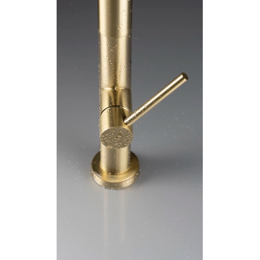 Deante BQO_R72M - Sink tap with pull-out sprayer OLFATO brushed gold