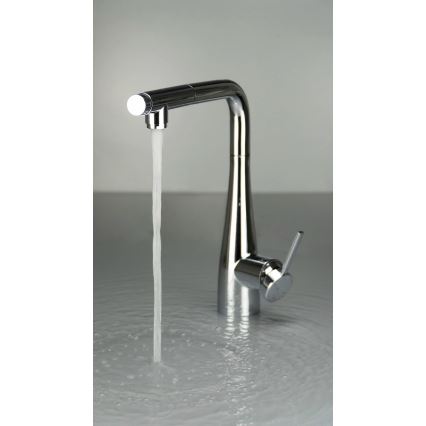 Deante BRE_075M - Sink tap with pull-out sprayer ERIDAN shiny chrome