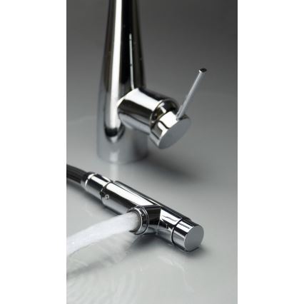 Deante BRE_075M - Sink tap with pull-out sprayer ERIDAN shiny chrome