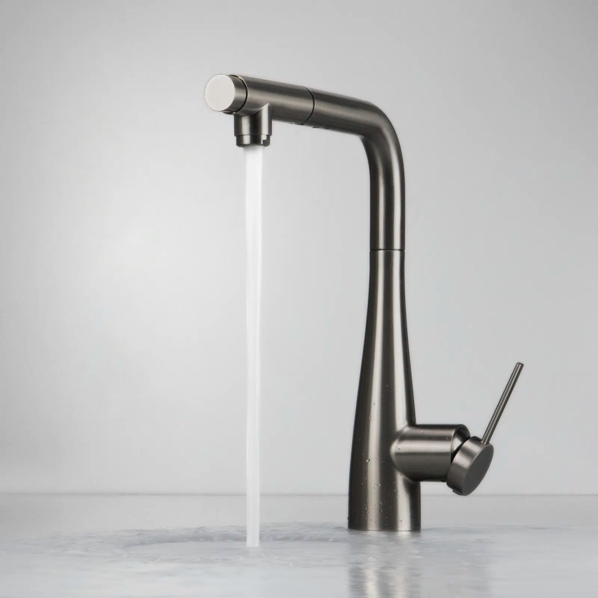 Deante BRE_D75M - Sink tap with pull-out sprayer ERIDAN titanium