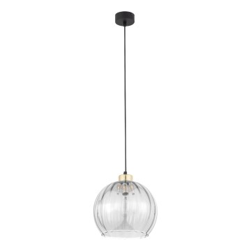 DEVI cable-suspended pendant light 1xE27/15W/230V black/clear