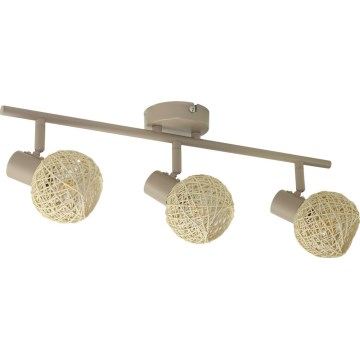 DEX spotlight 3xE14/10W/230V beige/cream