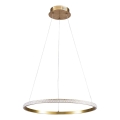 DIANA LED Cable Pendant Light 25W/230V 4000K Ø 50 cm, Gold
