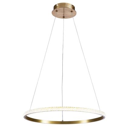 DIANA LED Cable Pendant Light 25W/230V 4000K Ø 50 cm, Gold