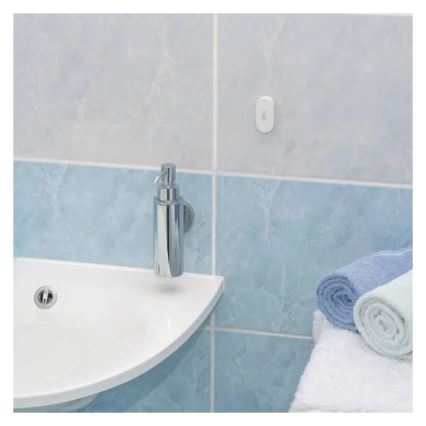 Digital wireless thermometer GoSmart 1×CR2032
