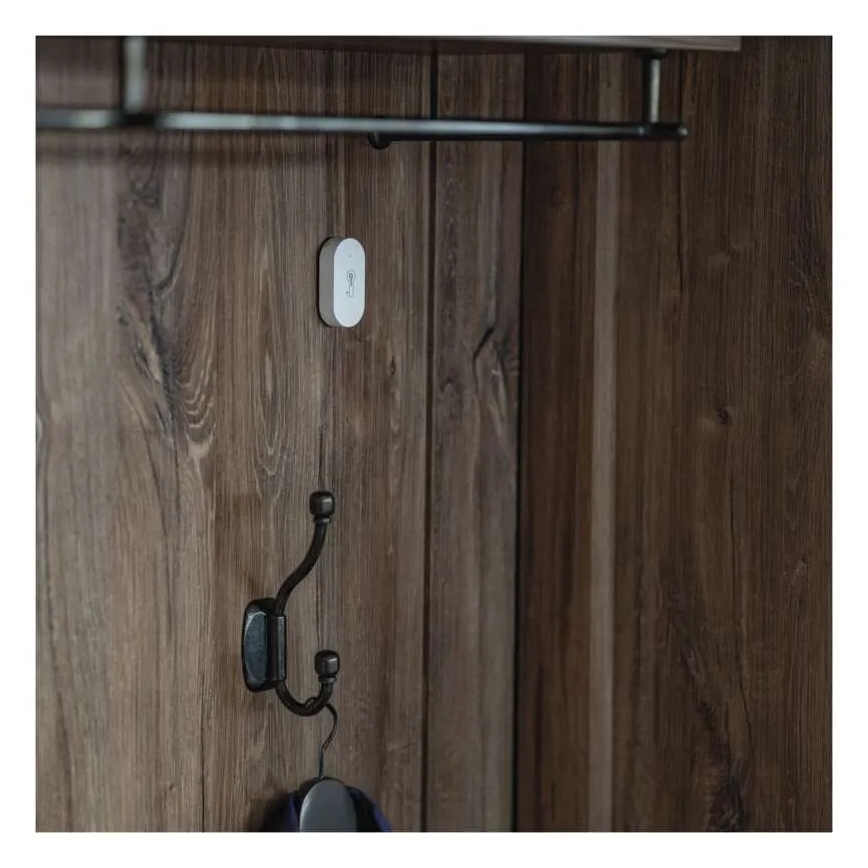 Digital wireless thermometer GoSmart 1×CR2032