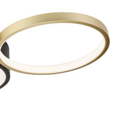 Dimmable ceiling light ALIZEE LED/30W/230V 3000-6500K black/gold